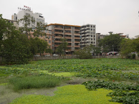 Martyrs Park in Yunfu (云浮烈士公园)