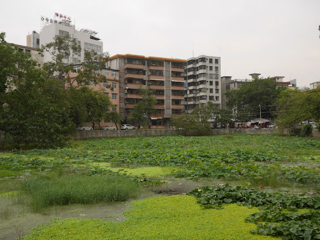 Martyrs Park in Yunfu (云浮烈士公园)