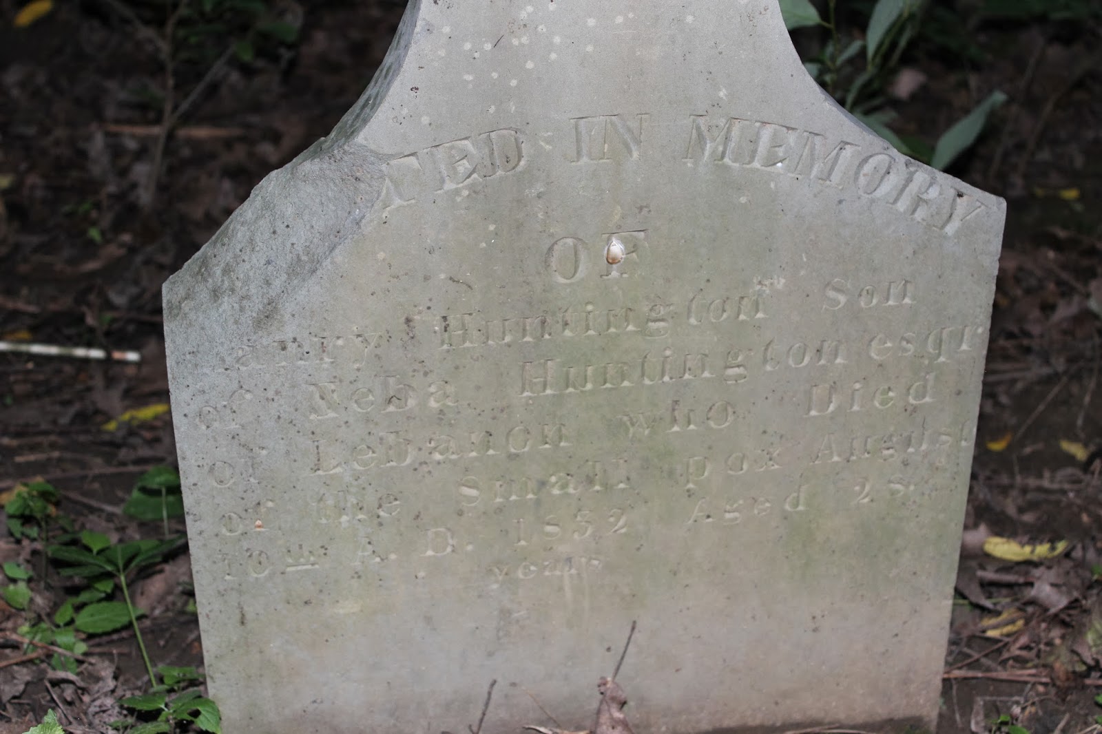 Discovery PA Children's Cemetery Mt. Etna PA