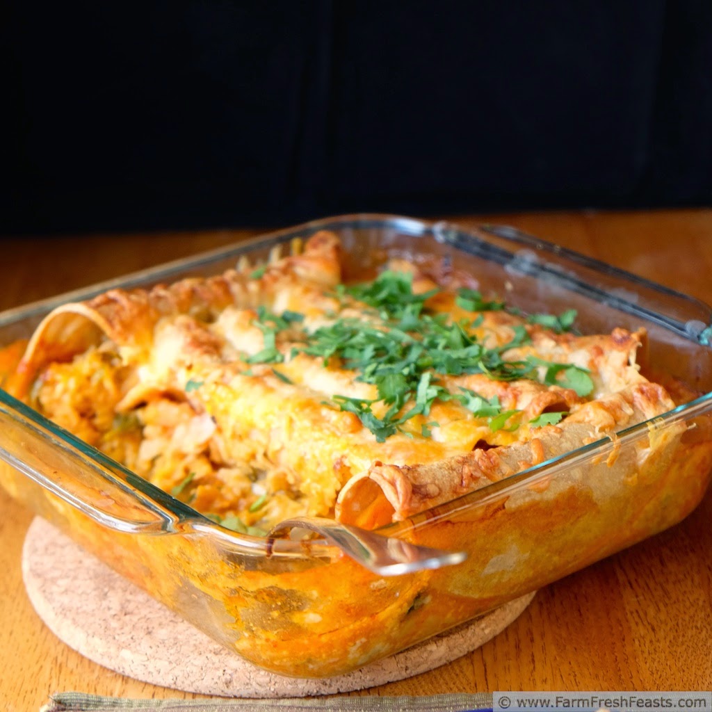 Farm Fresh Feasts: Easy Cheesy Vegetable Rice Enchiladas