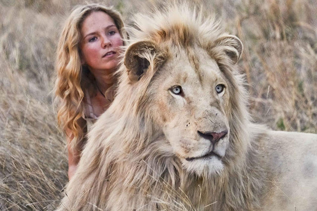 A Menina e o Leão