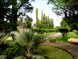 4 Options Style Garden