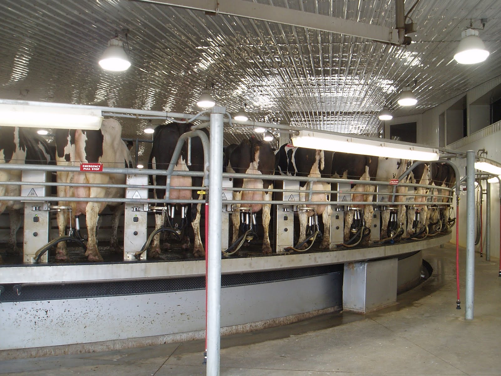 US Agriculture Study Tour Rosendale Dairy Rosendale WI. Tuesday, 30