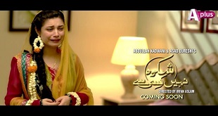 Shikwa nahi kisi se kisi se gila nahi hd video song download
