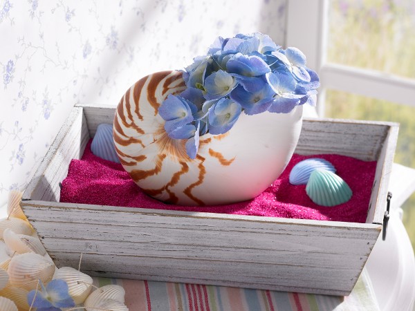 DE INSPIRACION MARINERA: decora tus espacios con temas marinos | Decoración