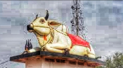 अद्भुत मूर्ति है माँ पाताल भैरवी का , राजनांदगांव(छ.ग)