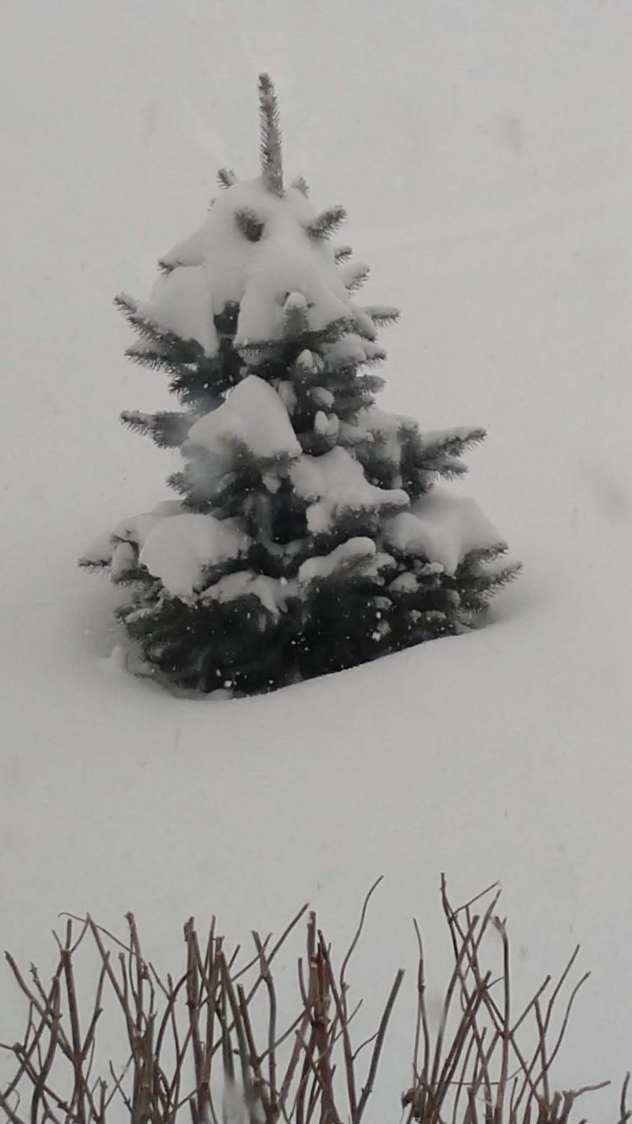 Rving The Usa Is Our Big Backyard Winter In Wisconsin