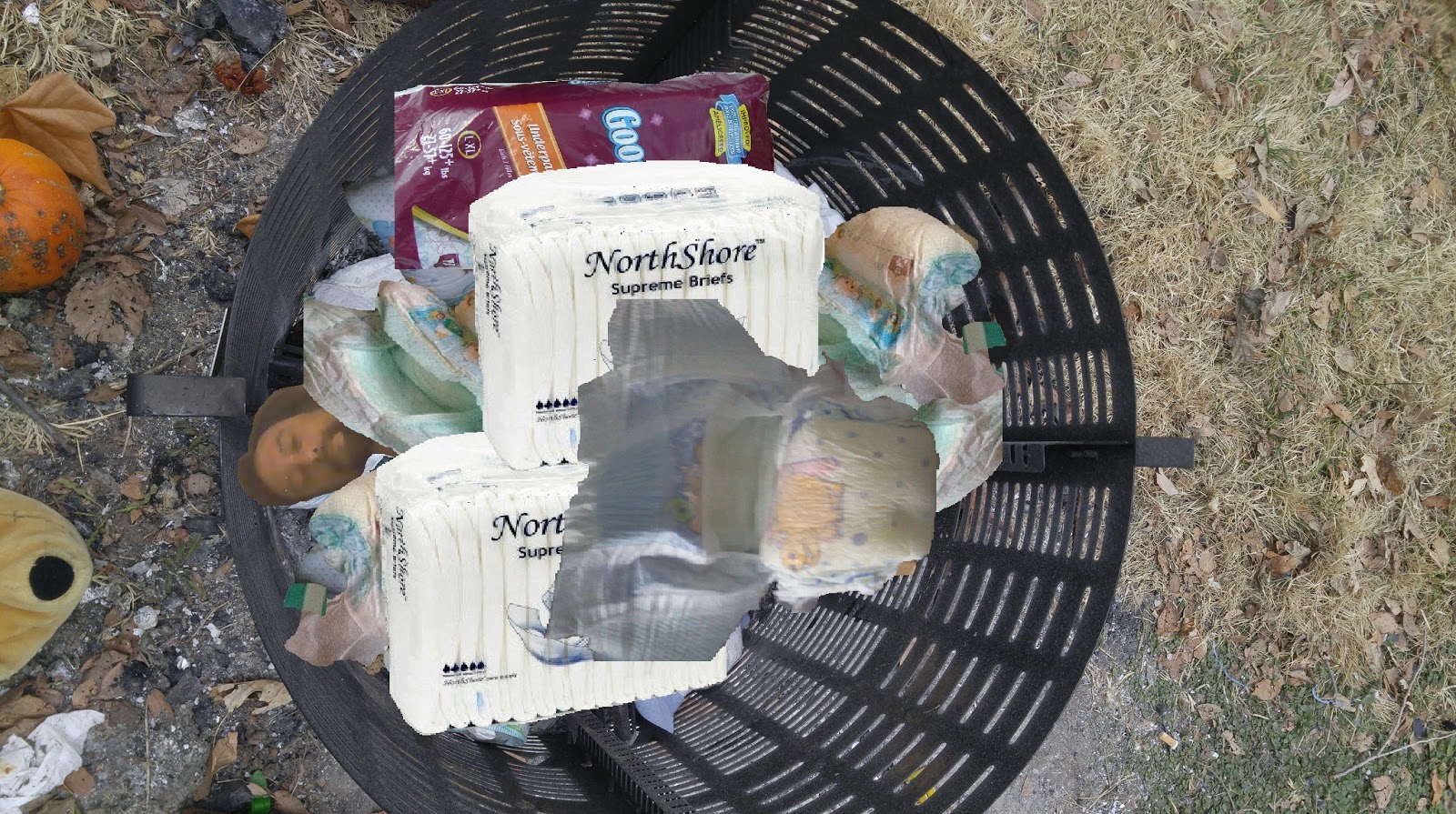 The Diaper Service The Burn Barrelthe New Year's Resolution