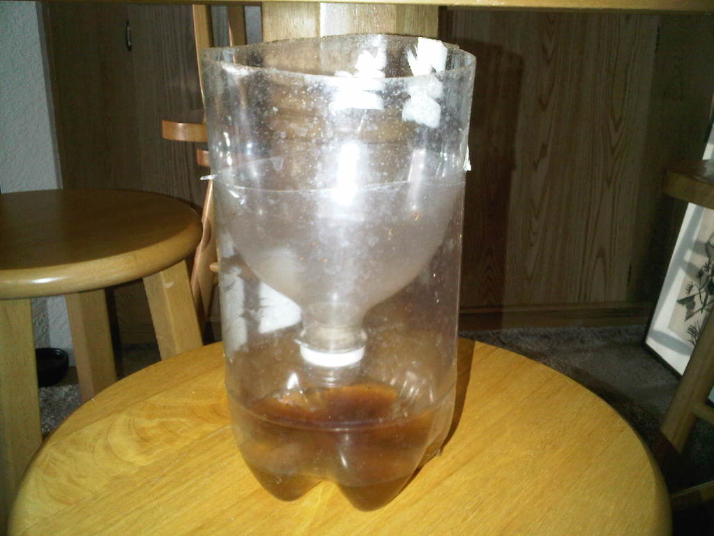 2 Litter Bottle Fly Trap 2-litter-bottle-fly-trap