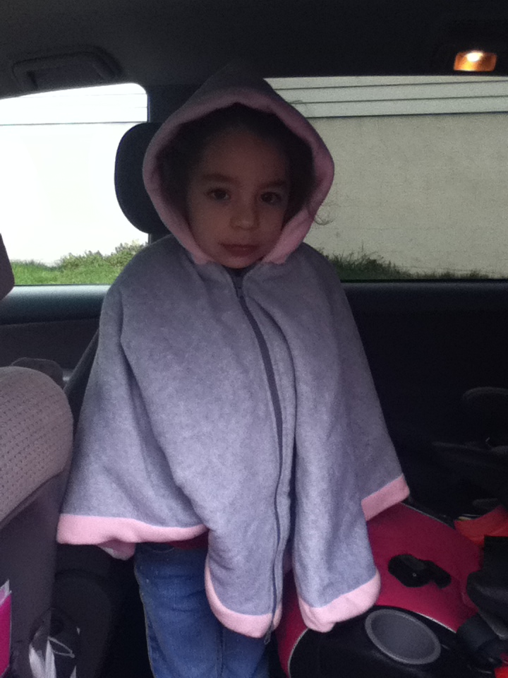 carseatnanny