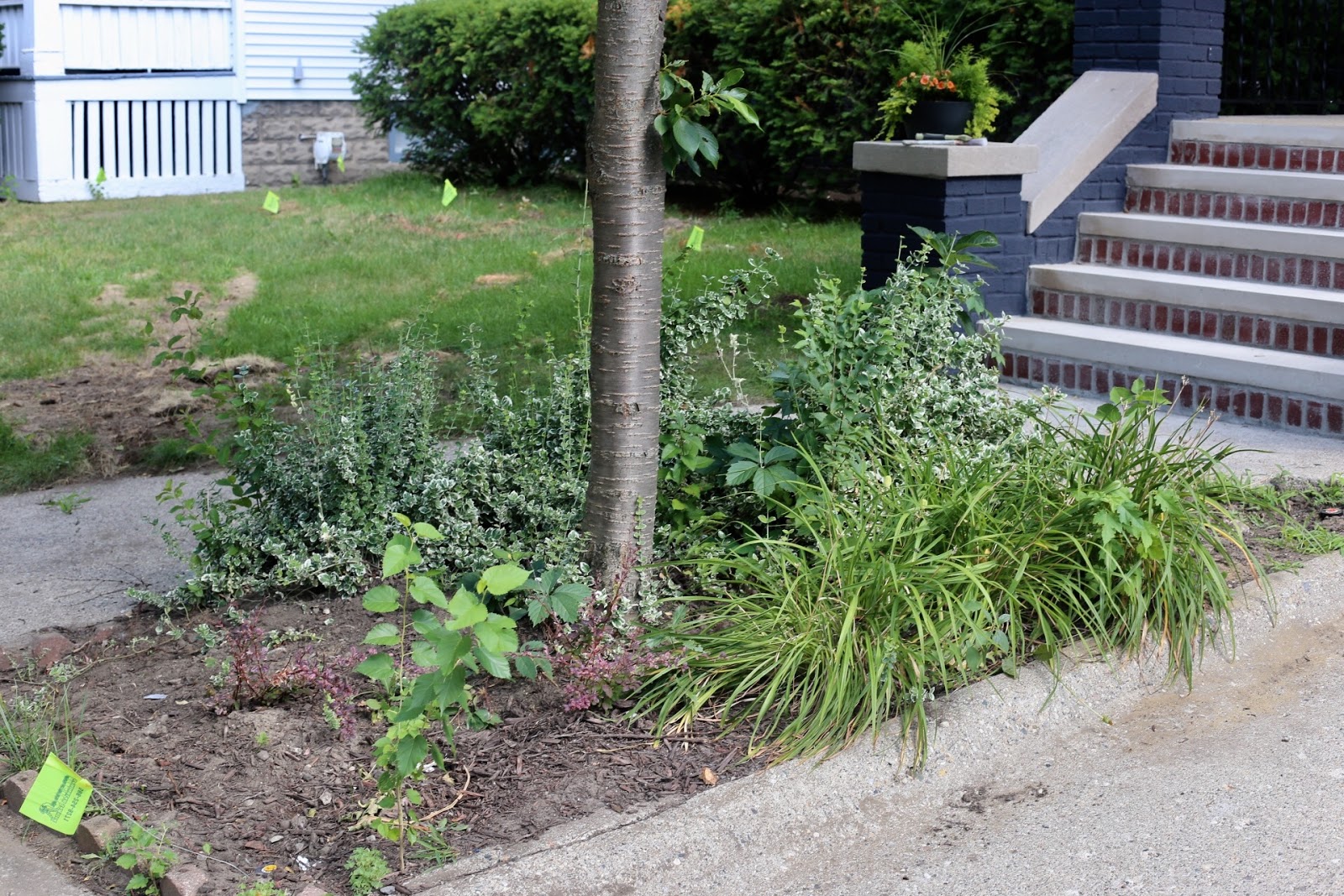 Savvy Southern Style Around The Yard Ramblings