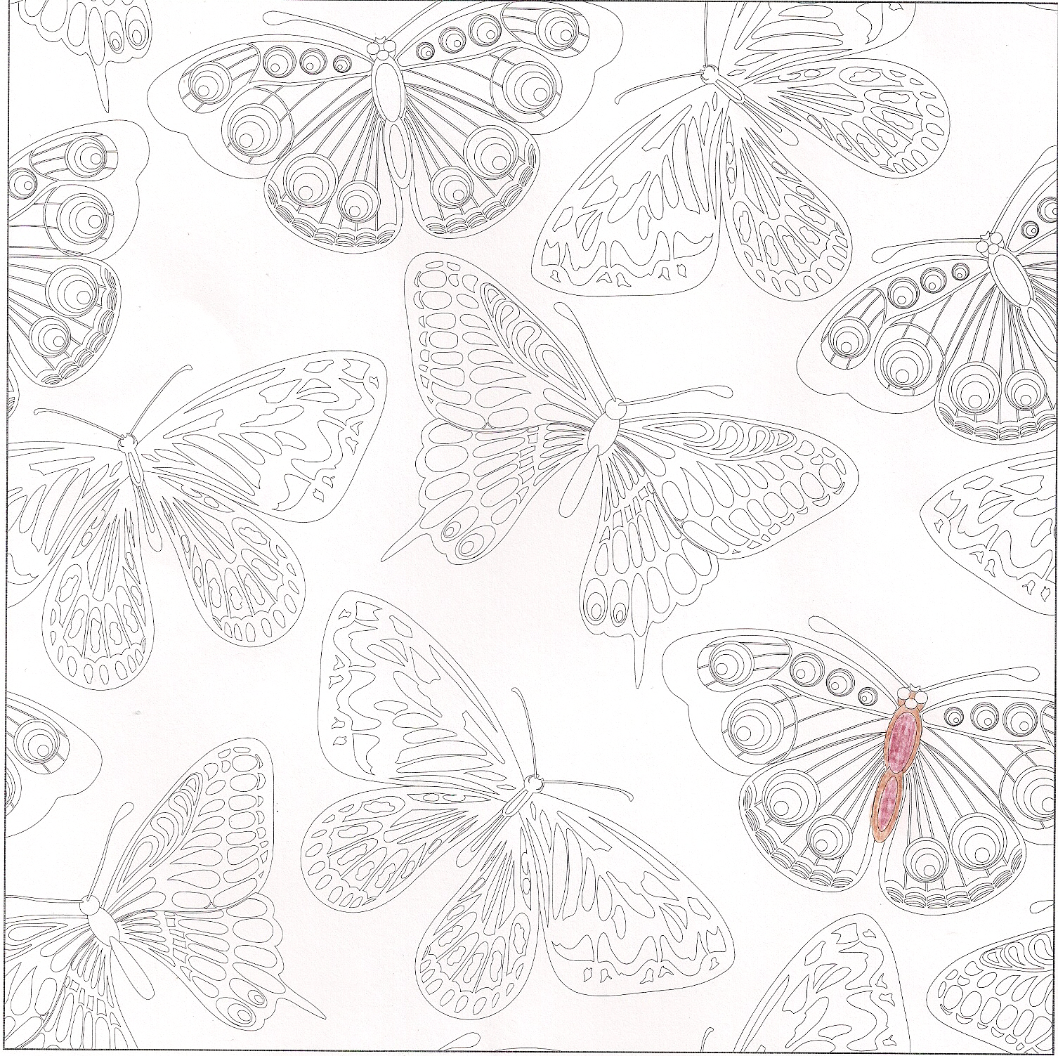 FoxCat's Life Adult Coloring Review part 2