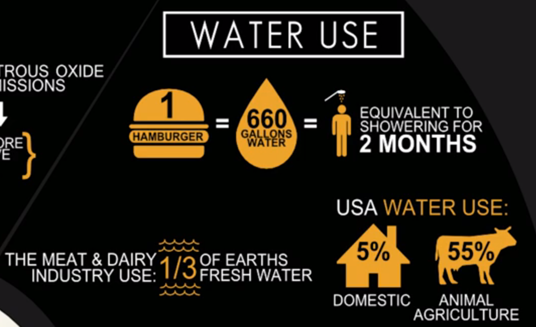 A(cow)nting for Climate Change Part 1 From land to sea, though not
