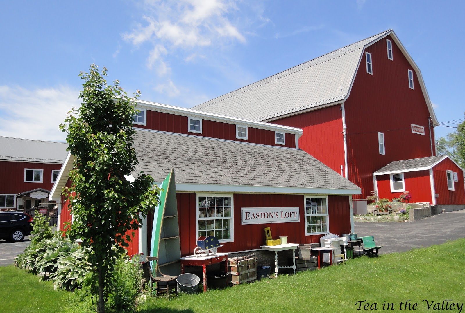 Tea In The Valley August 2016