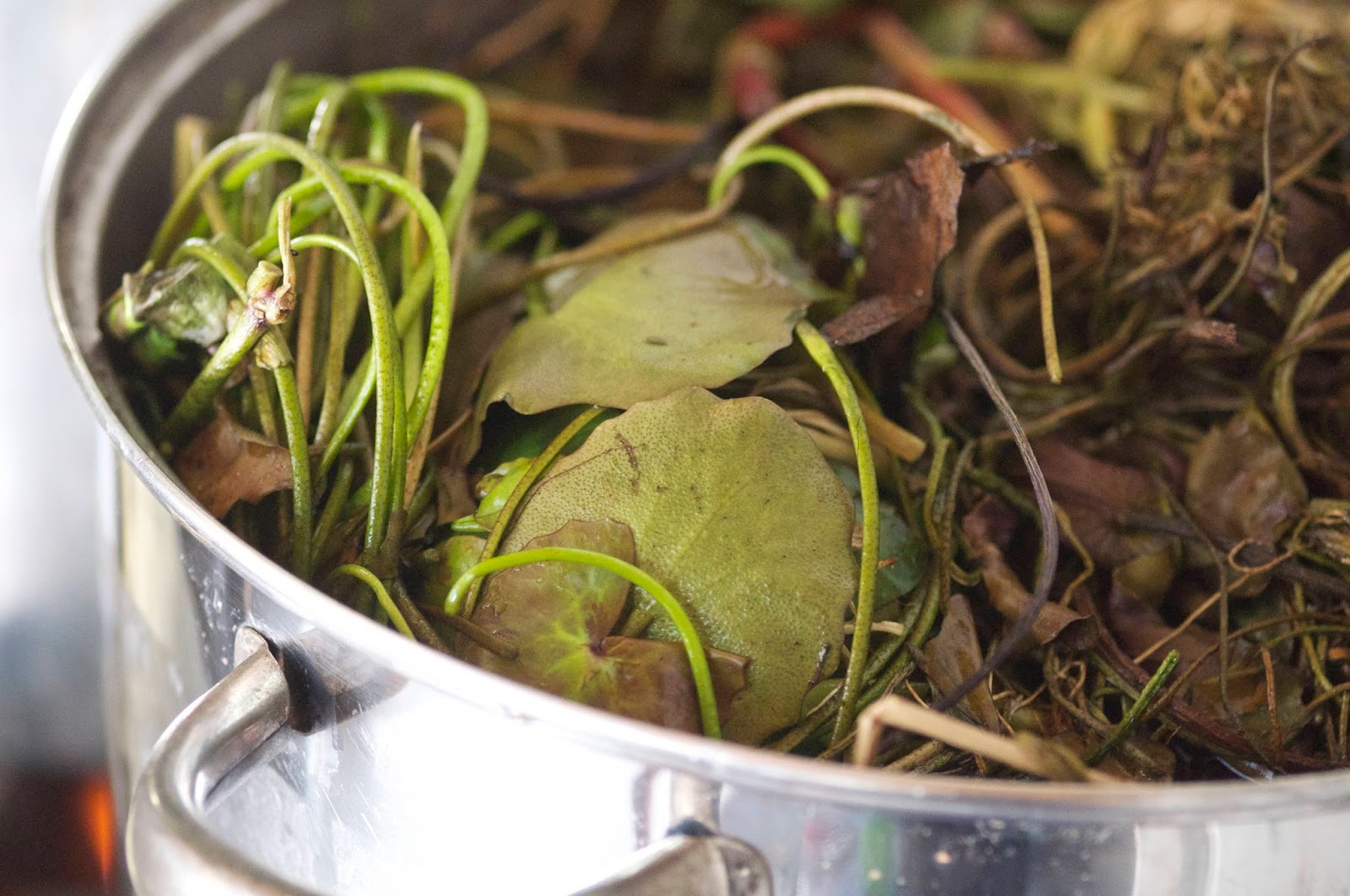 gardensduke Preview Papermaking with Plant Fibers