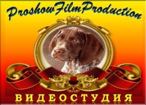 Студия ProShowFilmProduction