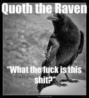 Wise Raven sez
