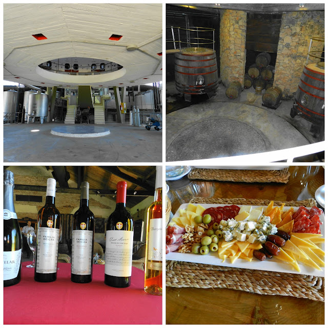 Visita a vinicola Familia Deicas - Montevideo, Uruguai