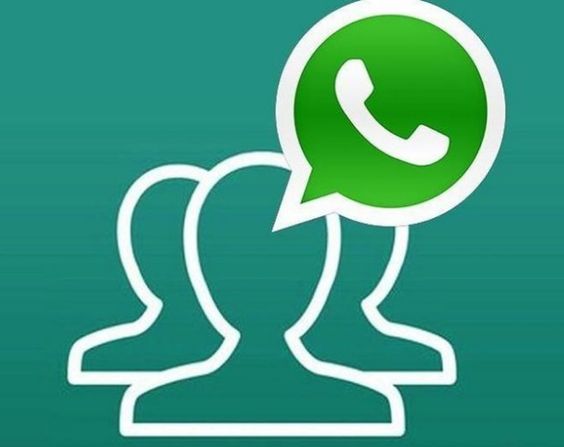 Grupo whatsapp tímidos e solitários