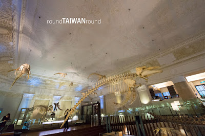 Gallery Of Evolution Trong Taiwan Land Bank Exhibition Hall