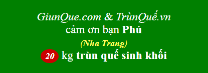 Trùn quế Nha Trang