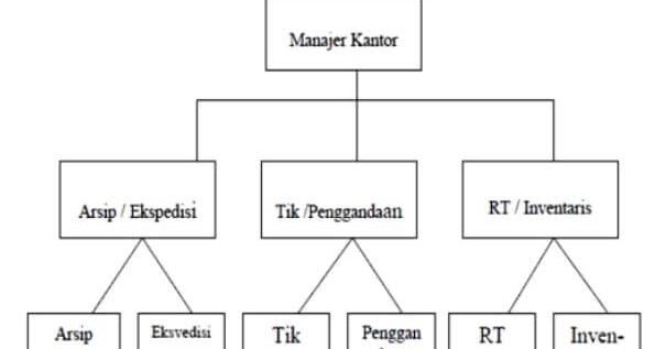 Bentuk Bentuk Organisasi Kantor Ilmu Ekonomi Id