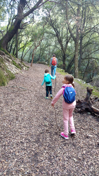 Excursión Salt des Fre (Mallorca)