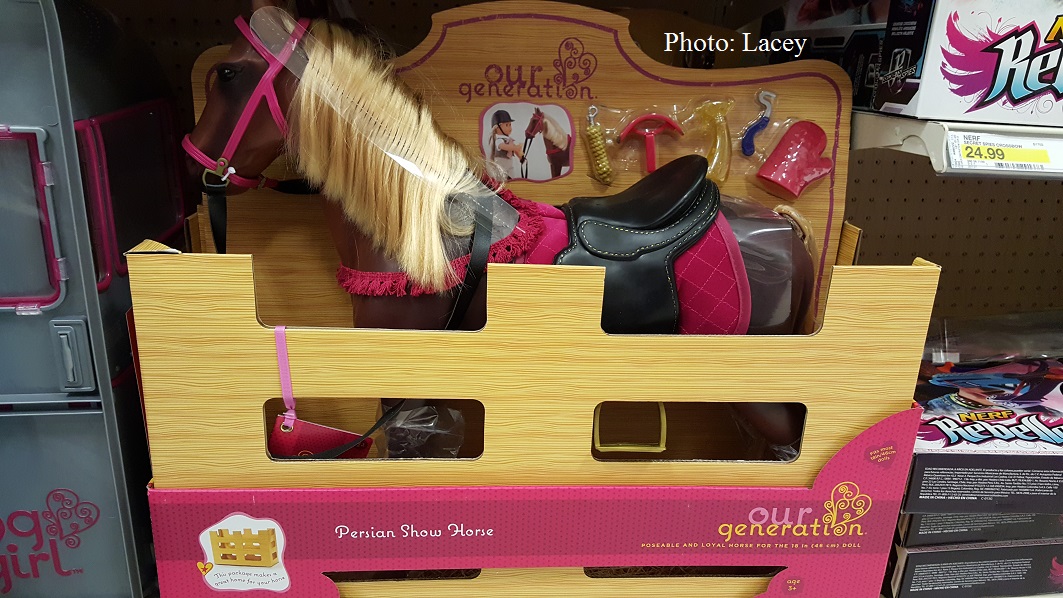 our generation persian show horse