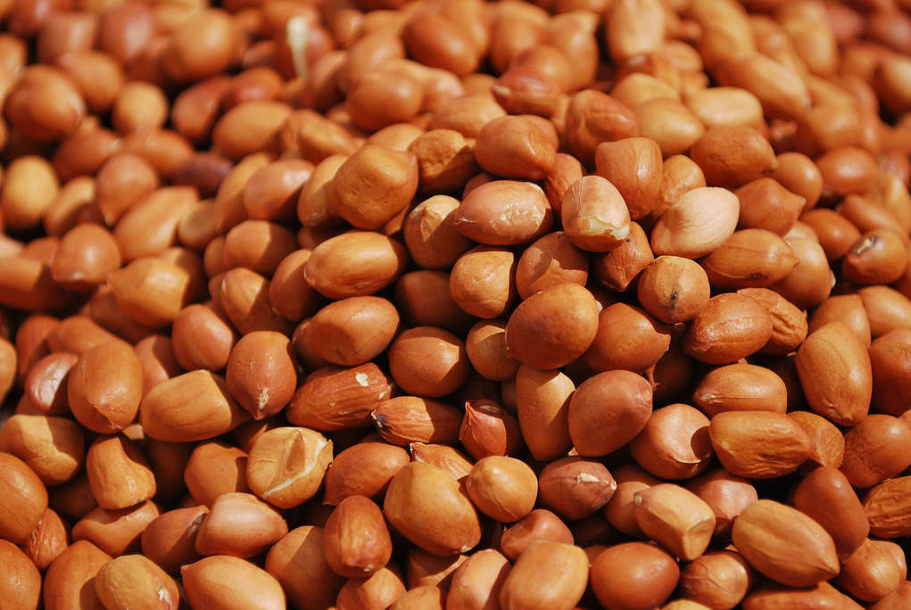We love Our Bangladesh: Peanut or Cheena Badam is popular outdoor