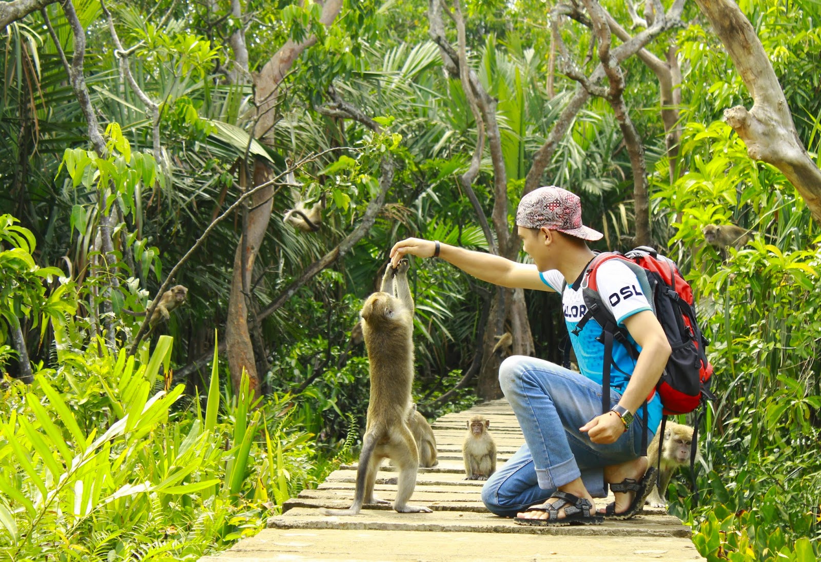 5 Pulau  di  Indonesia ini Berisi Hewan  Langka  dan Satu 