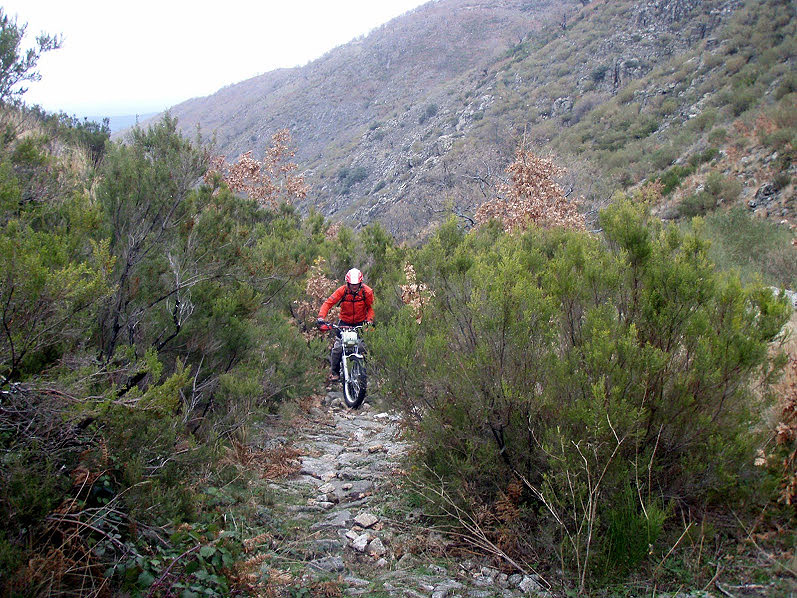 Cota 315r: Trial Excursión con nevada incluida