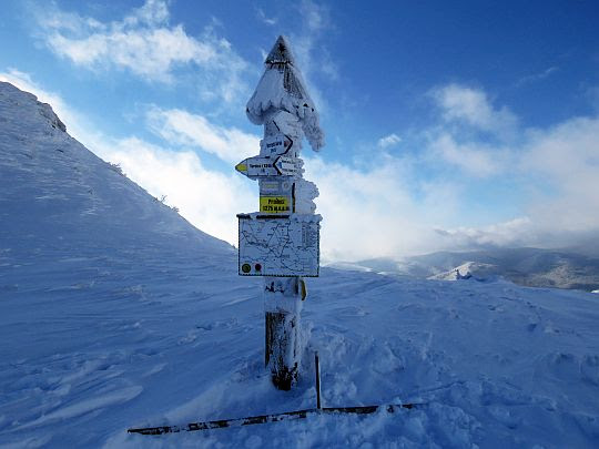 Przełęcz pod Tarnicą (1285 m n.p.m.).