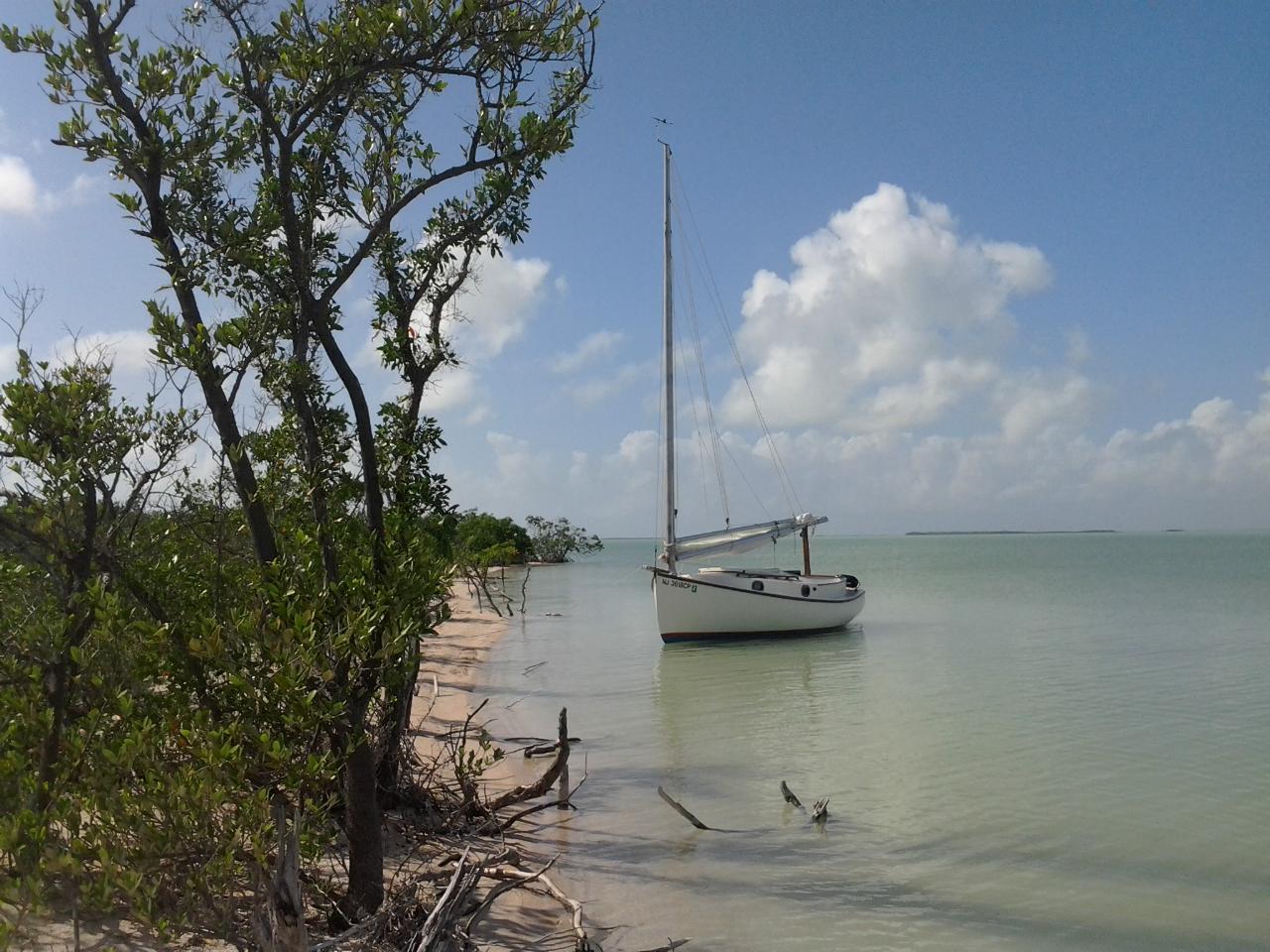 MY LIFE IN THE FLORIDA KEYS AND BEYOND Nest Key Revisited...First This