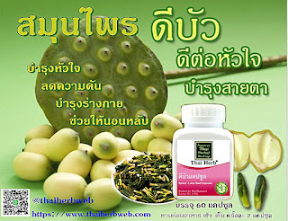  สมุนไพร ดีบัว Thai Herb บำรุงหัวใจ บำรุงร่างกาย แก้อาการอ่อนเพลีย ป้องกันโรคหัวใจ