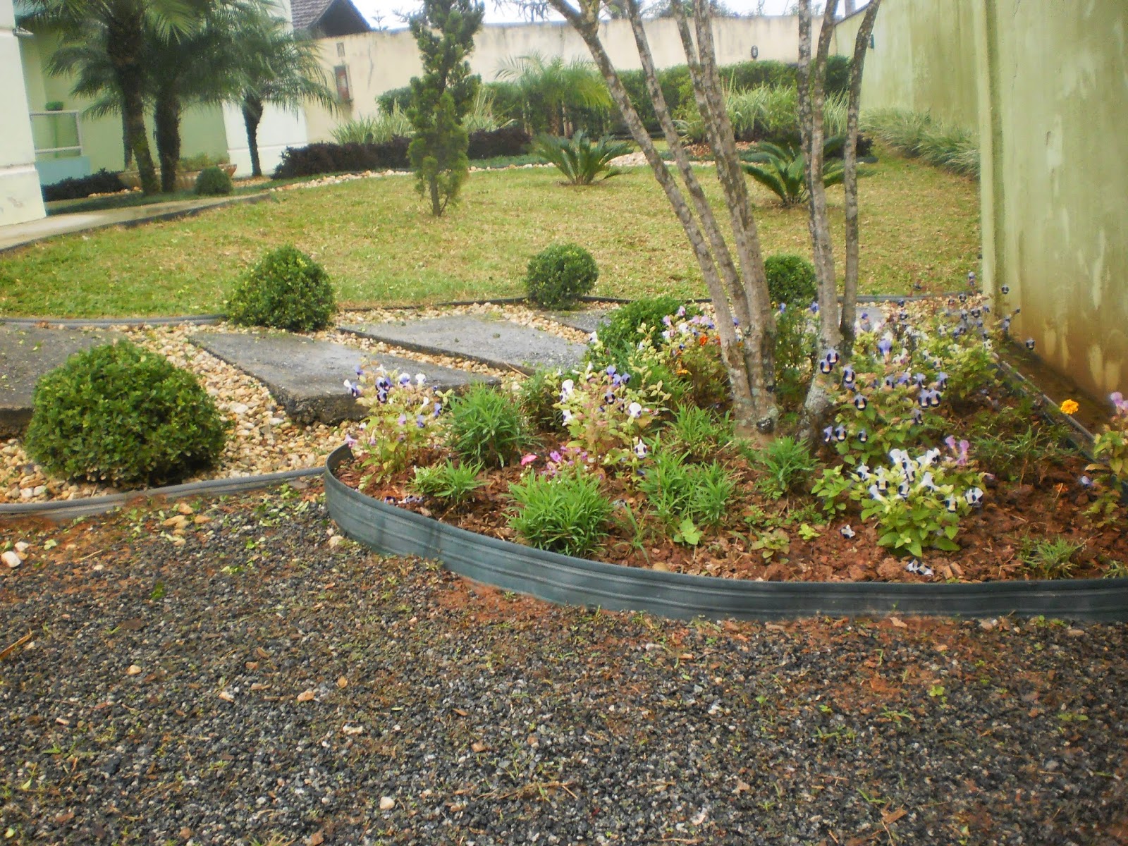 Suponha Que Você Tenha Em Seu Jardim Exemplares