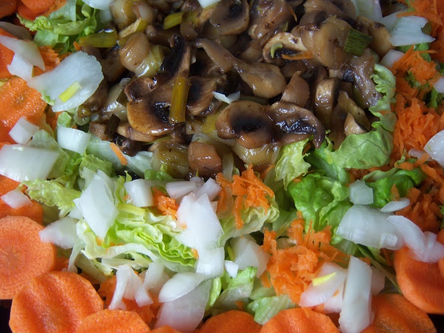 Ensalada de champiñones al limón con lechugas, cebolla, zanahoria, ajetes y puerros