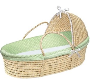 essential newborn items - moses basket