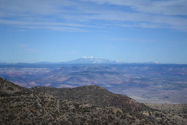 San Francisco Peaks as points of white against the blueish sky