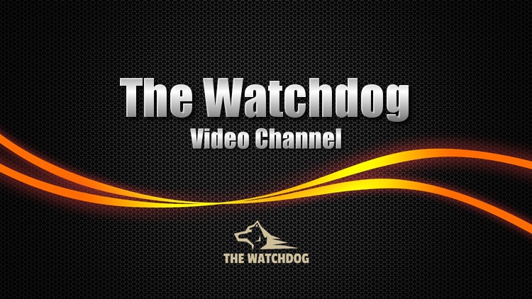 The Watchdog