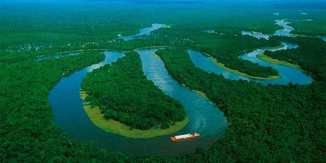 Curiosidades del río Amazonas