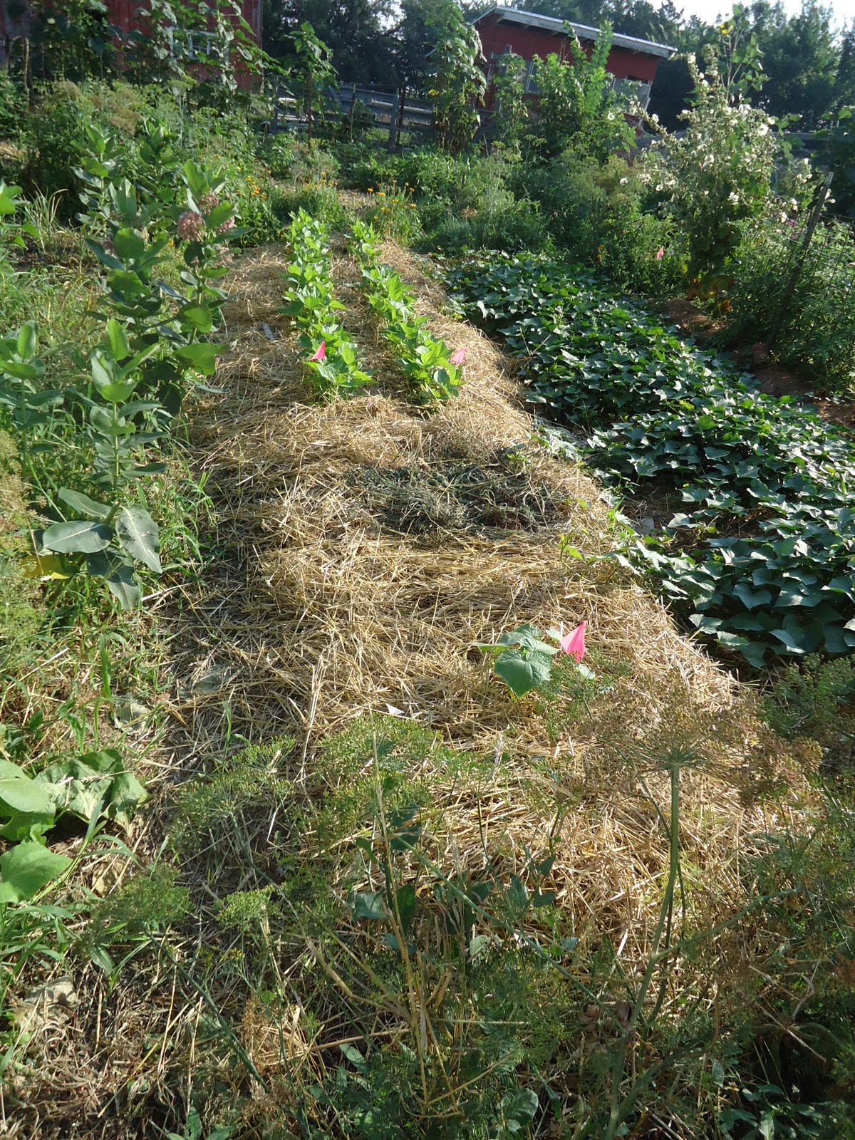 Between the Rows Serious Mulch