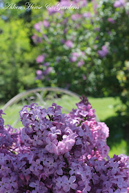Aiken House & Gardens: It's Lilac Time!