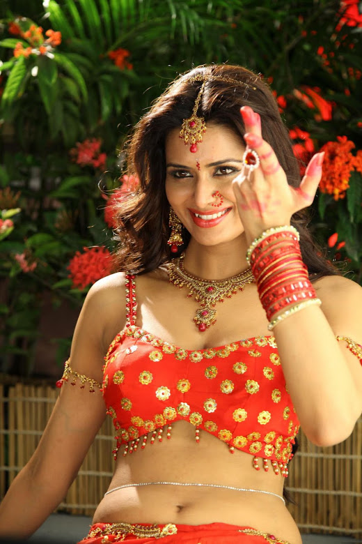 Meenakshi Dixit Hot Stills in Srikrishana Devaraya & Thenaliraman