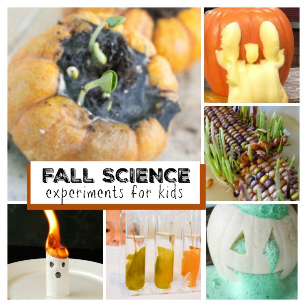 20 awesome Fall science experiments for kids- such neat ideas!