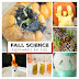 Fall Science for Kids