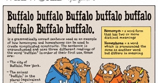 Badekar Gå forud Encommium Buffalo buffalo Buffalo buffalo buffalo buffalo Buffalo buffalo" is a  grammatically correct sentence. | Information In