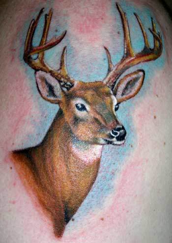 Tattoos Designs, Pictures And Ideas: Color Ink Deer Head Tattoo