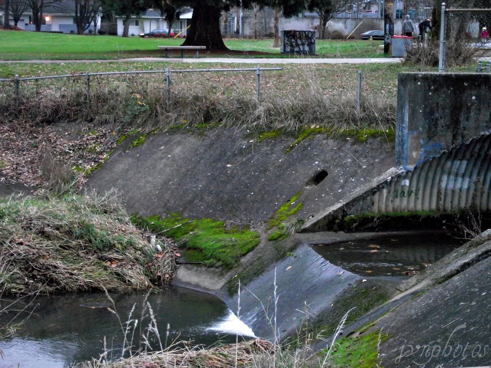 Photos by Jan Amazon Park Eugene , Oregon