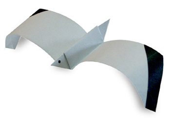 Sea Gull Origami