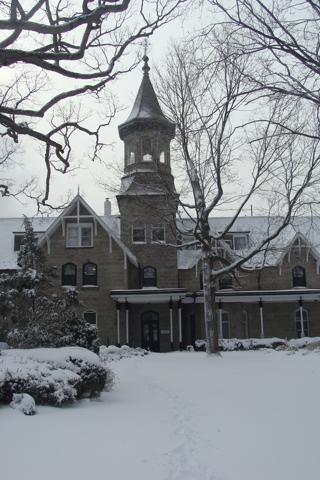 From the Eastern Front Old Man Winter Comes to New Rochelle